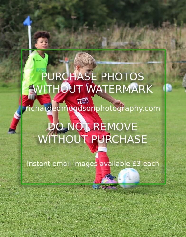 IMG_4751 - Ibis U9 v Ibis United U9 (Saturday 24 September)
