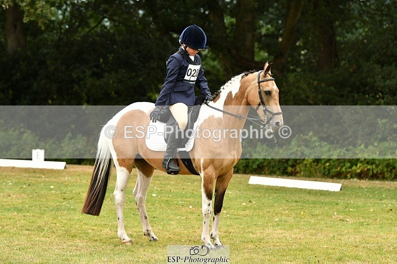 250820A-125244-05685 - 12 to 13.00