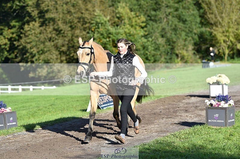 231022-103012-22526 - 442-BICTON.INCREDIBLY.DUN-millie.jo.challinor-TrotUp+SJ
