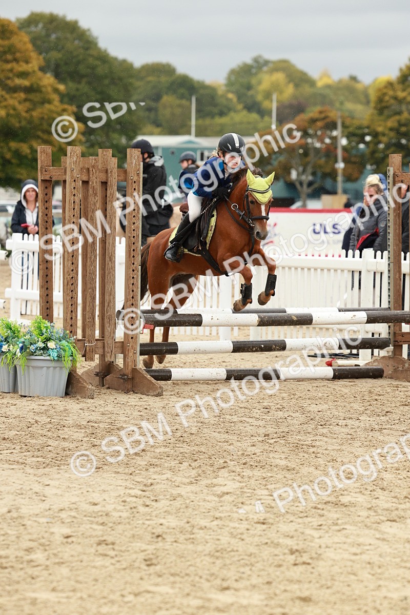SBM_69110 - J13 - Junior Pony 60cm Championship