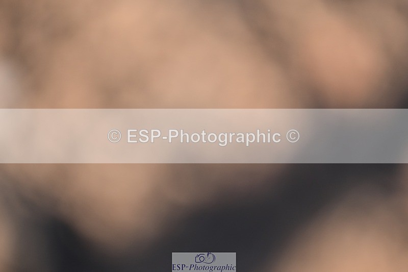 251203-121534-00437 - Cls 3 Snr 1.05m Open