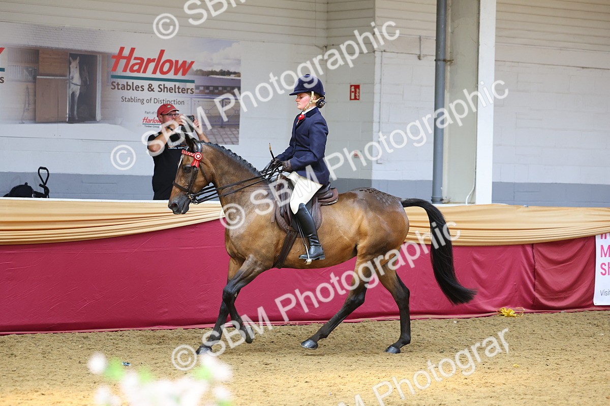 SBM_24112 - Class 905 - Supreme Final - Ridden Veteran