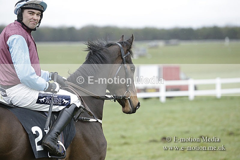 PtP 150320 0268 - New Forest Point-to-Point Larkhill 15/03/20