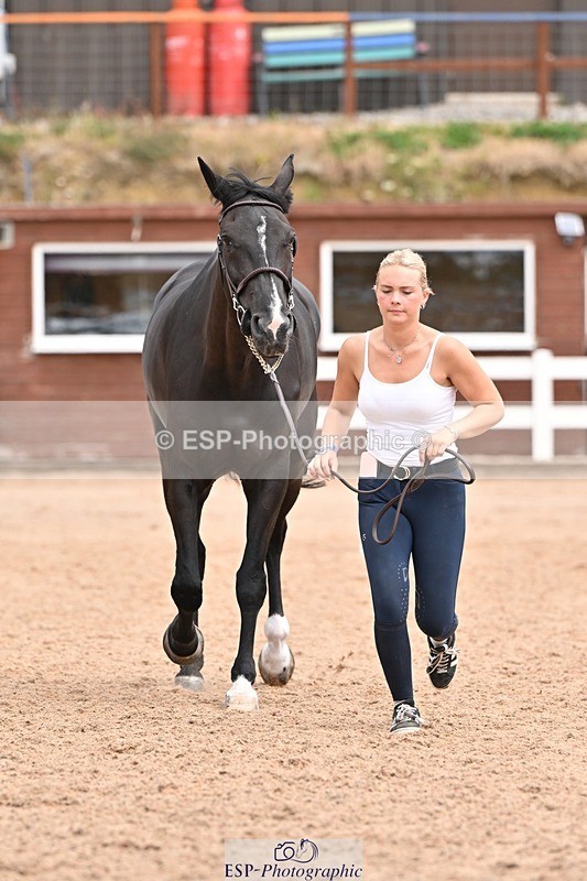 250716-144336-01335 - Trot Up 2.30 to 3.30