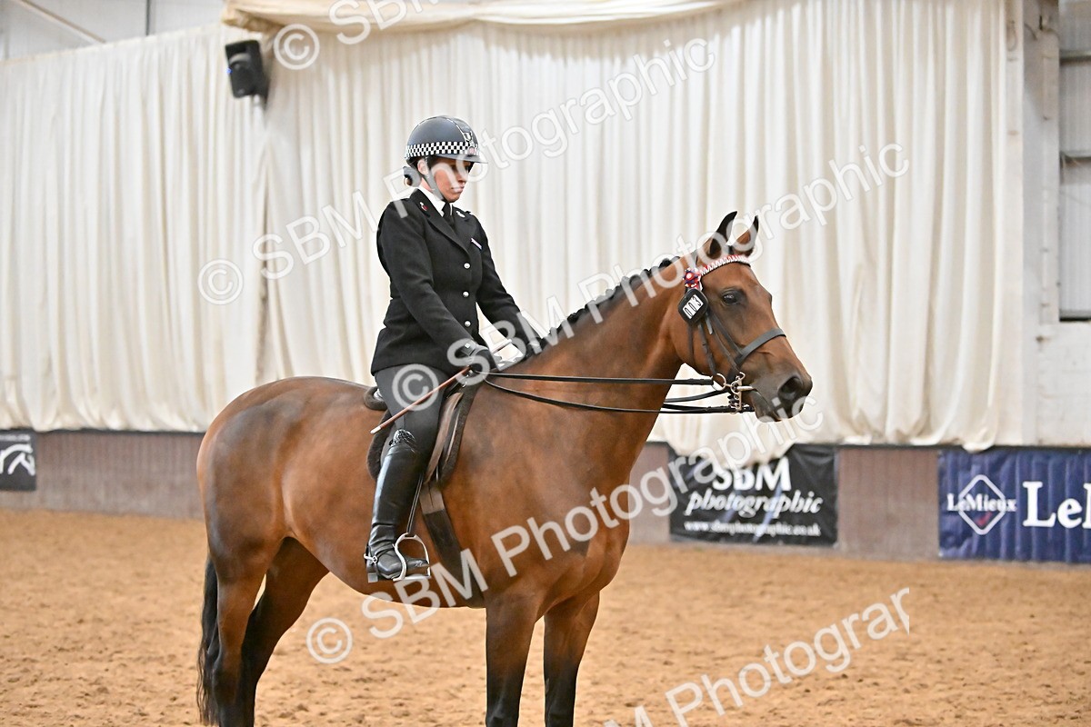 SBM_002366 - Class 22 - BSHA Ridden Hack & Riding Horse