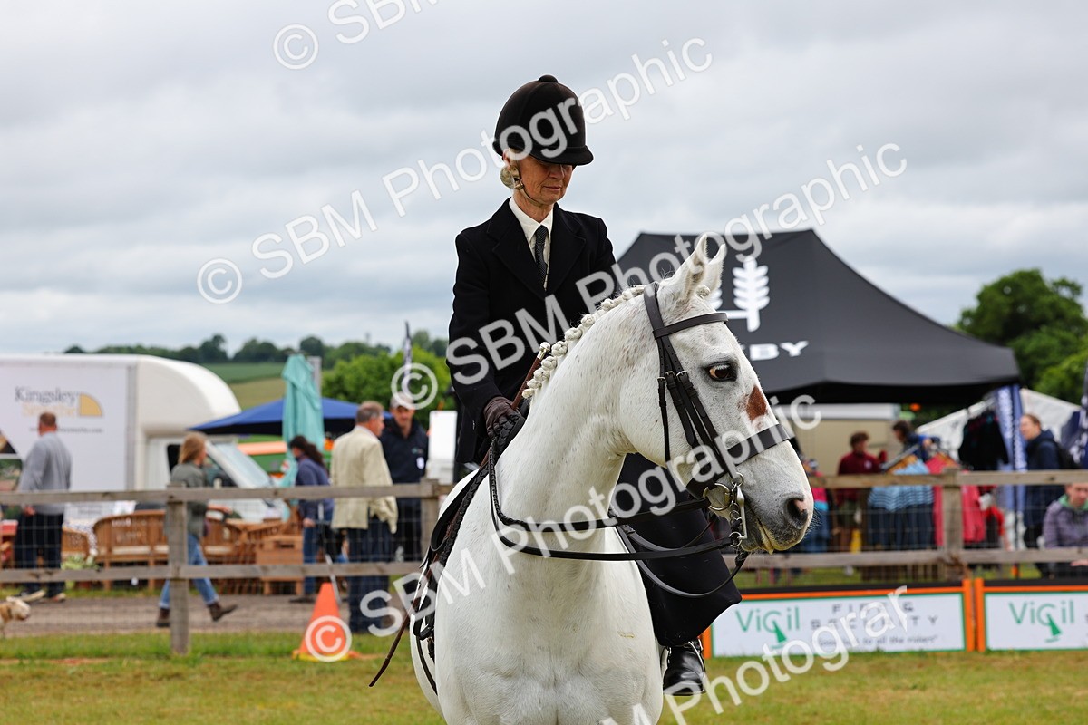 SBM_02761 - Class 9-11 Side Saddle including LIHS Rising Star Ladies Show Horse