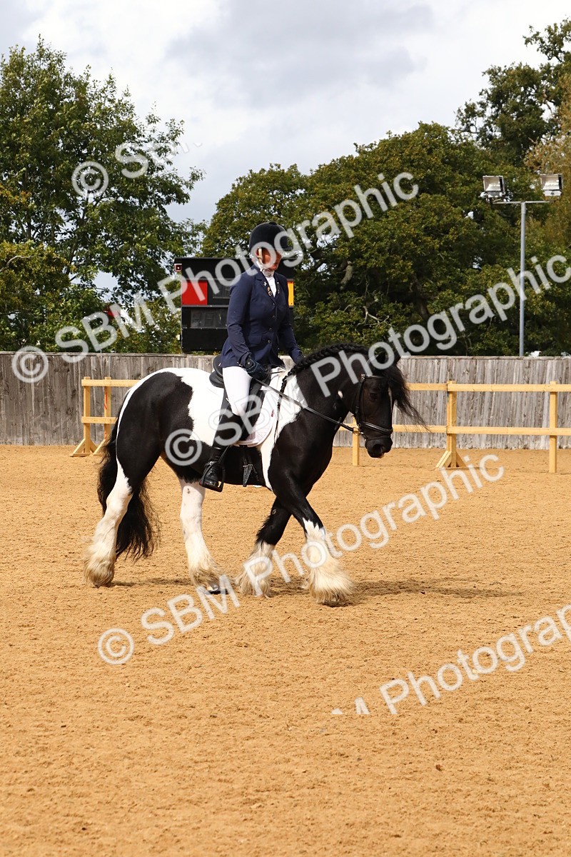 SBM_21008 - D5 - Small Tour Championshop Intro 2