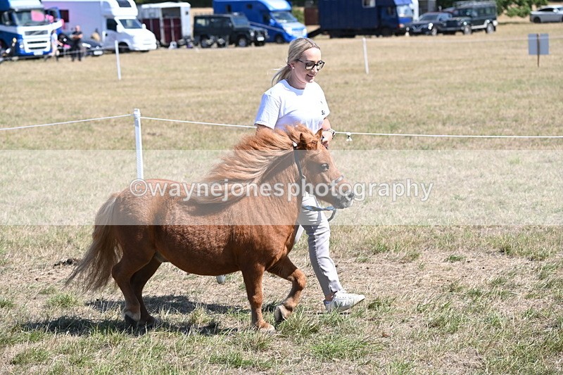 WJ6_9220 - Championship Classes 33-38