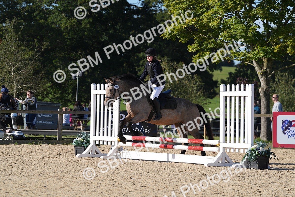 SBM_36141 - J 20 - Junior Horse 50cm Championship