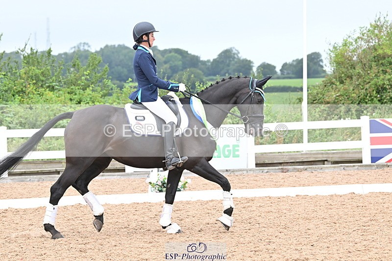 240815A-130544-01121 - Cls 7-P Freestyle Medium Bronze