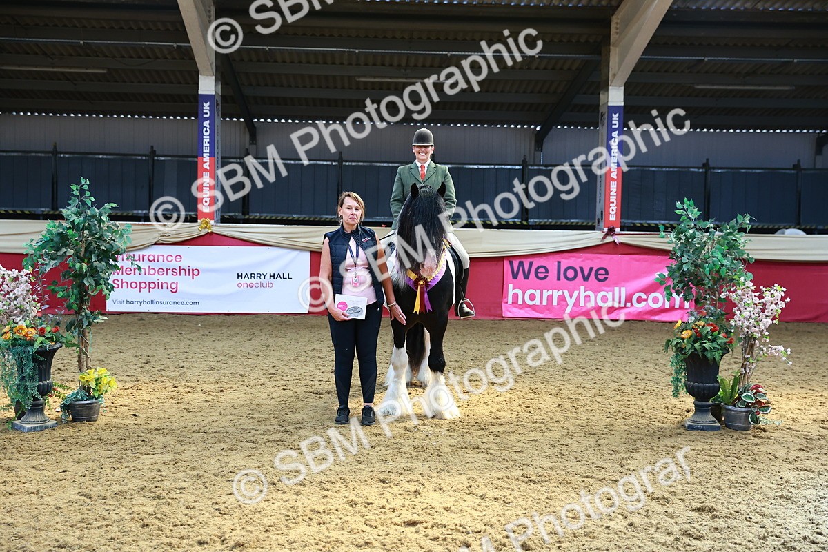 SBM_12769 - HOYS Veteran Qualifier - Ridden Champ
