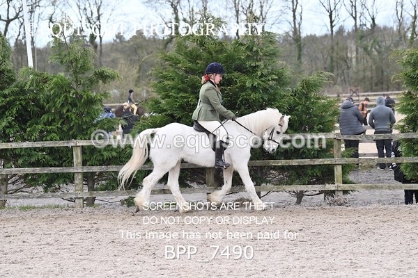 BPP_7490 - RING 1  (RIDDEN HORSES / IN HAND / VETERAN ETC)