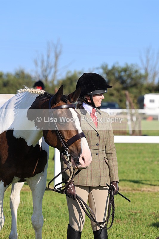 IMG_1302 - Class 27: Ridden Plaited Coloured Horse