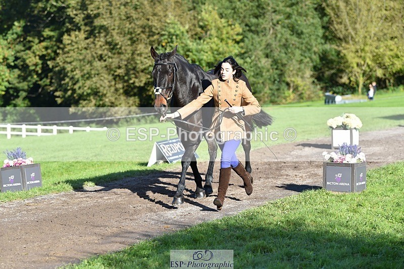 231022-102808-22501 - 472-SIR.LARRY.II-Alice.Wharton-TrotUp+SJ