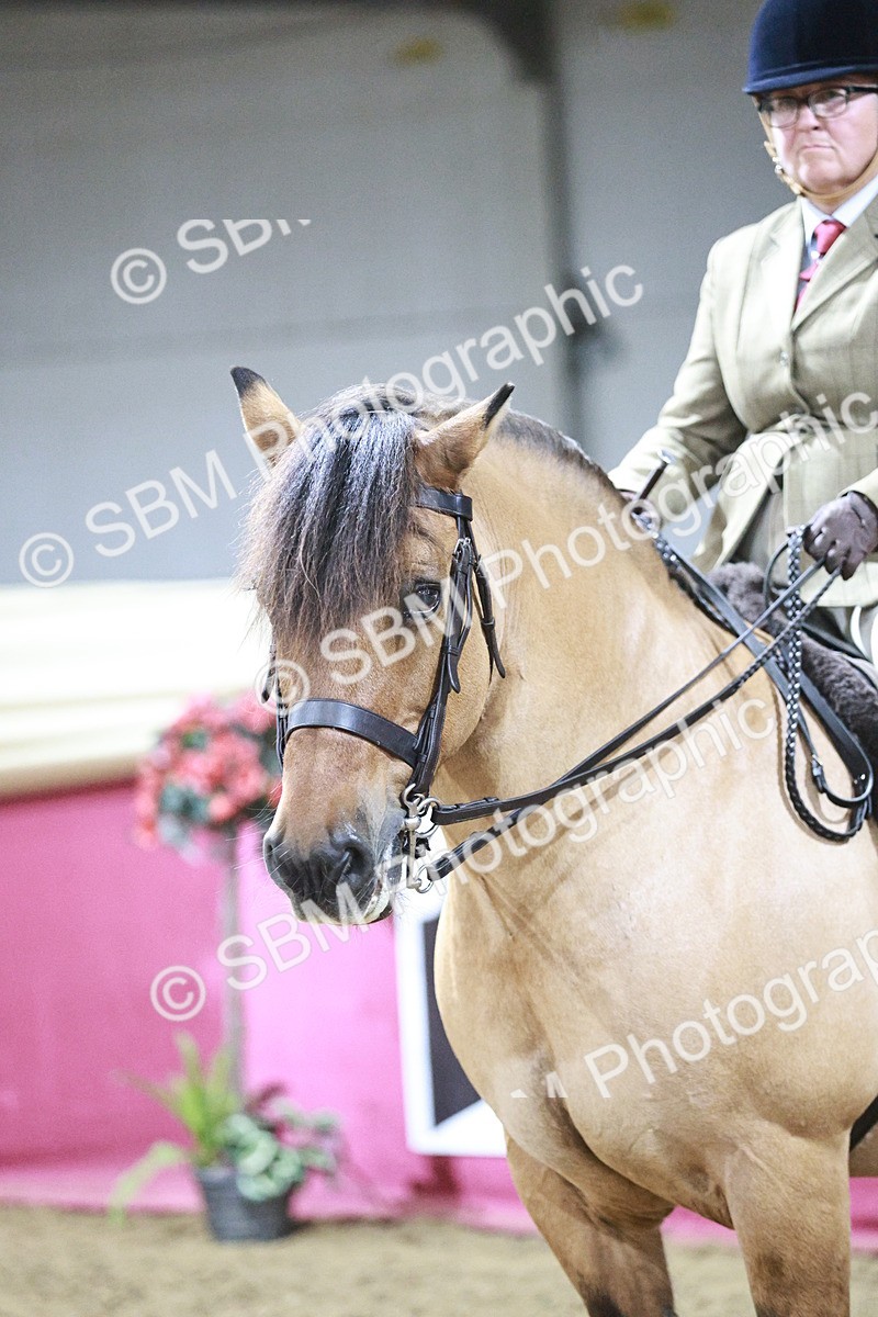 SBM_08073 - Class 11R - Regional Ridden Veteran