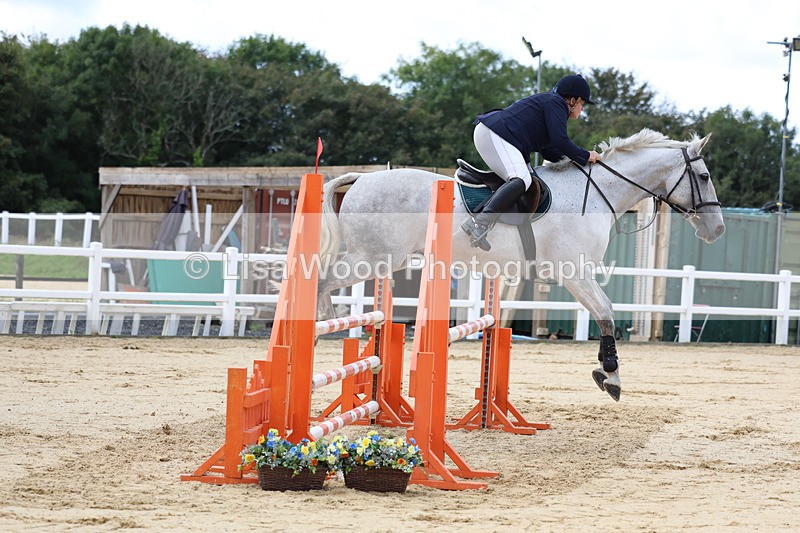 3E7A2017 - Class 4: Senior British Novice/90cm open