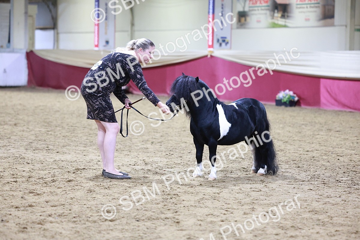 SBM_20835 - Class L - Coloured Champ