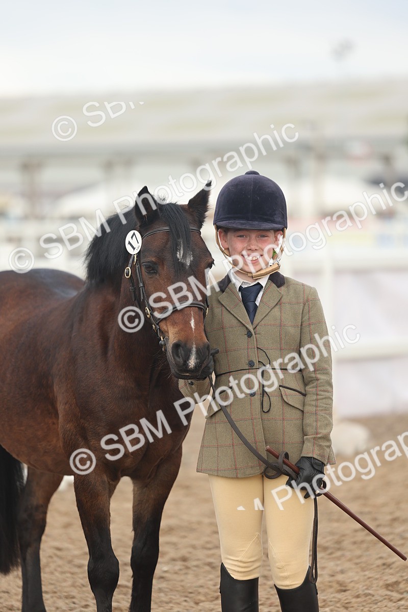 SBM_08555 - Class 29 - IH Veteran Pony