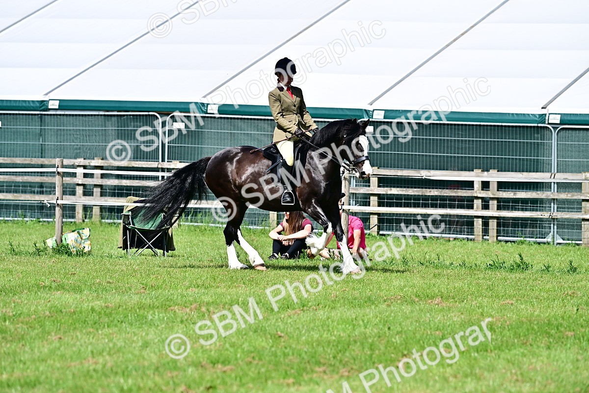 SBM_03827 - Class 58 - TSR  Ridden Veteran Amateur of the year
