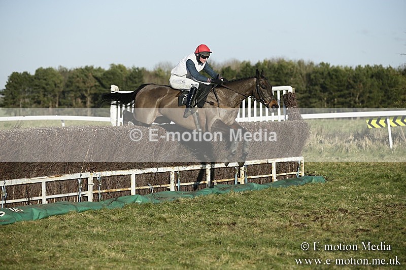 PtP 070118 -461 - Larkhill Racing Club Point to Point Larkhill 07/01/2018