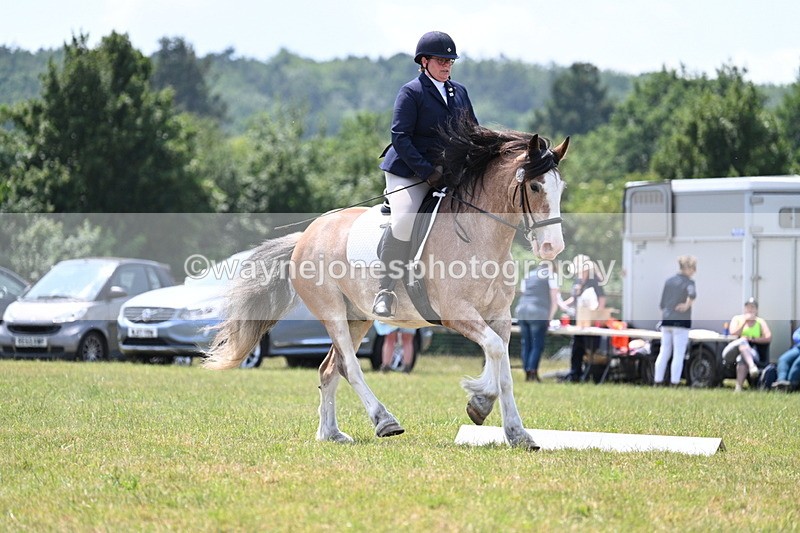 WJ7_8198 - Time 13:35 to 13:40