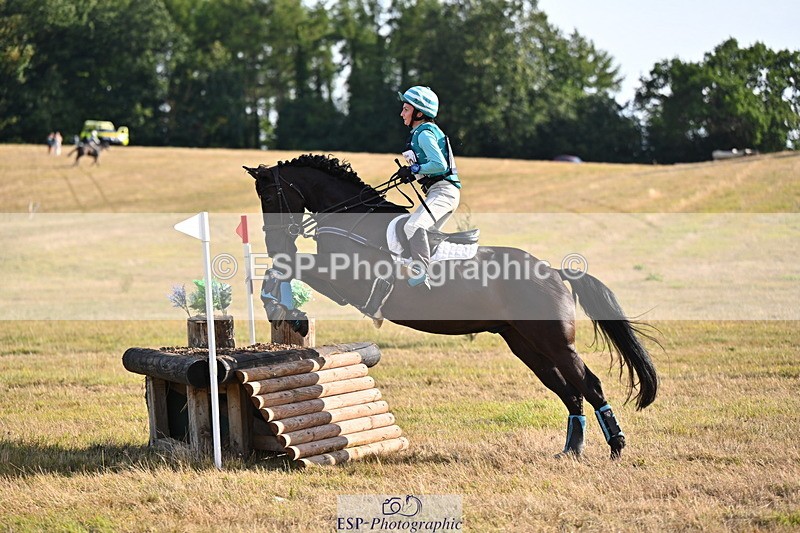 250803A-175717-18194 - S-869-Alice.Lamming-THE.DARK.HORSE.I