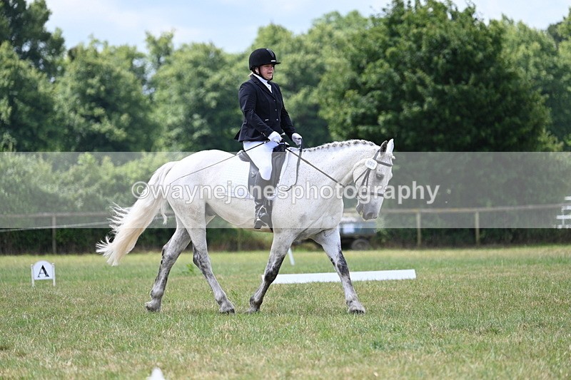 WJ7_4916 - Time 11:22 to 11:51