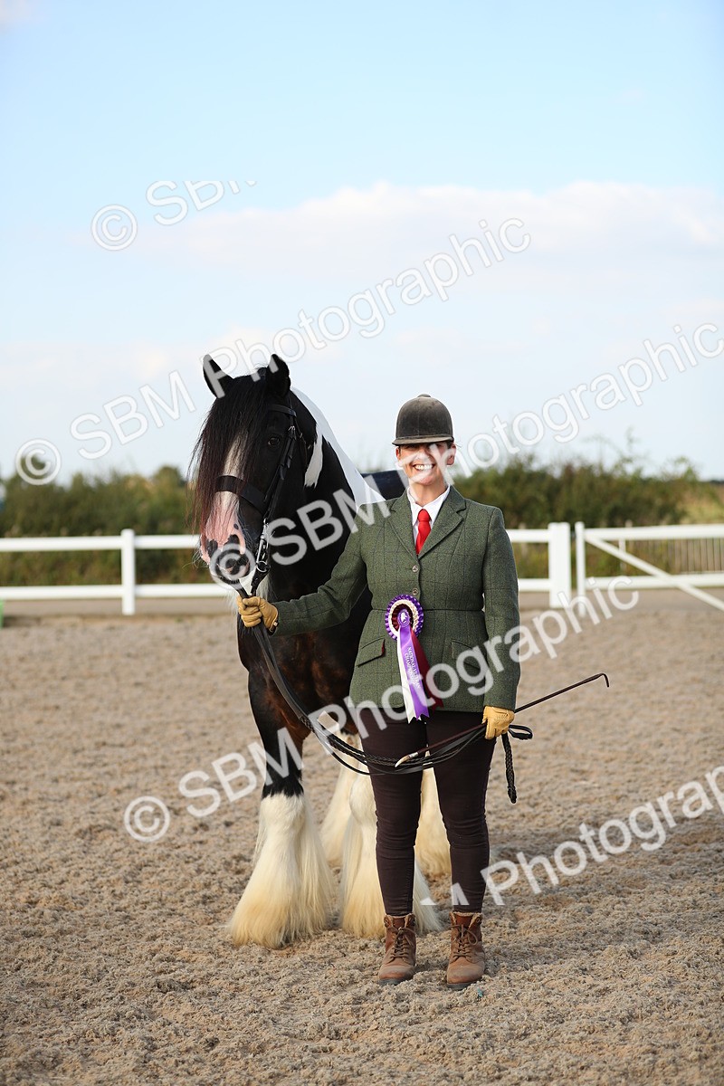 SBM_08707 - Class 28 - IH Veteran Horse