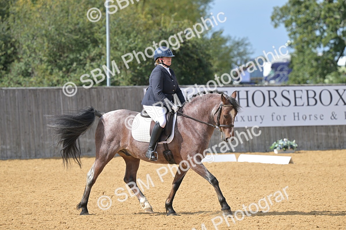 SBM_10913 - D3 - Small Tour Championship Intro 3