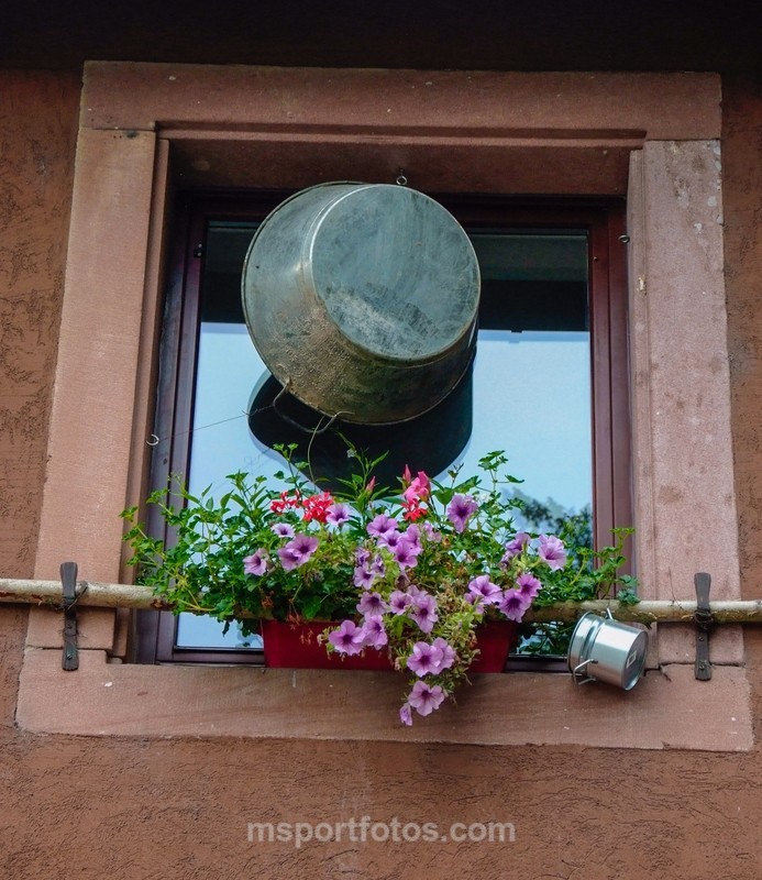 Window dressing in Riquewihr - Travel, city/land scapes