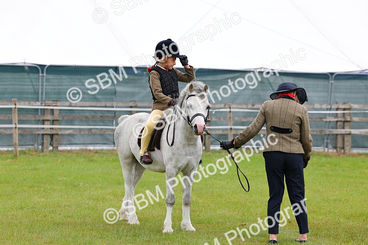 SBM_08216 - Class 42-43 - LIHS BSPS Heritage Working Sports Pony
