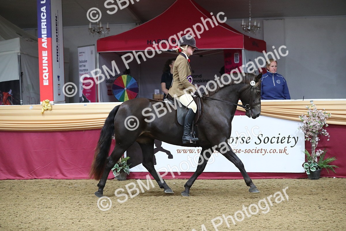 SBM_09402 - Class 101 Equitation (best rider), Junior