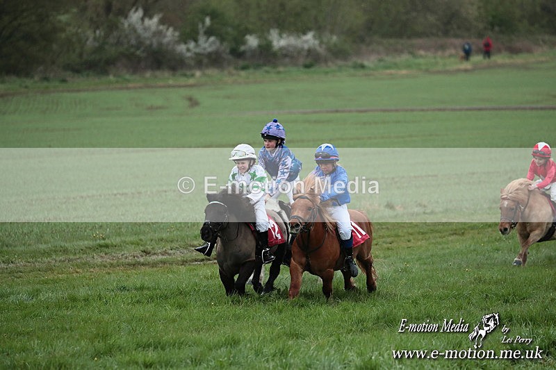 SHETPR 210425 169 - Shetland Ponies Paxford Races 21/04/25