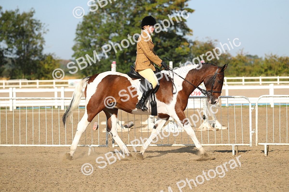 SBM_01125 - Class 42 Ridden Veteran