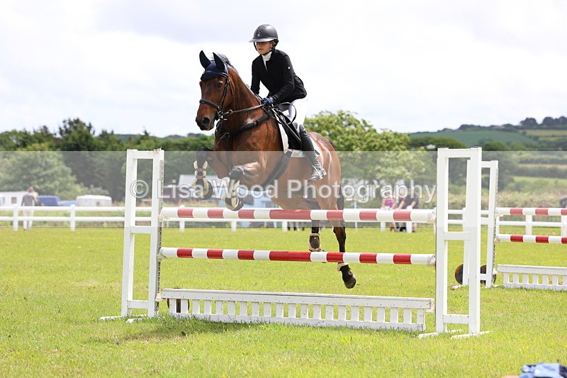 3E7A7106 - Class 12: Senior Foxhunter/1.20 open