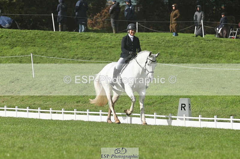 251023A-143851-05005 - G-522-Sue.Parkes Inc Trot Up