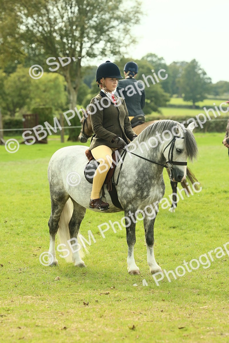 SBM_69842 - S59 - Mountain & Moorland Ridden Small Breeds