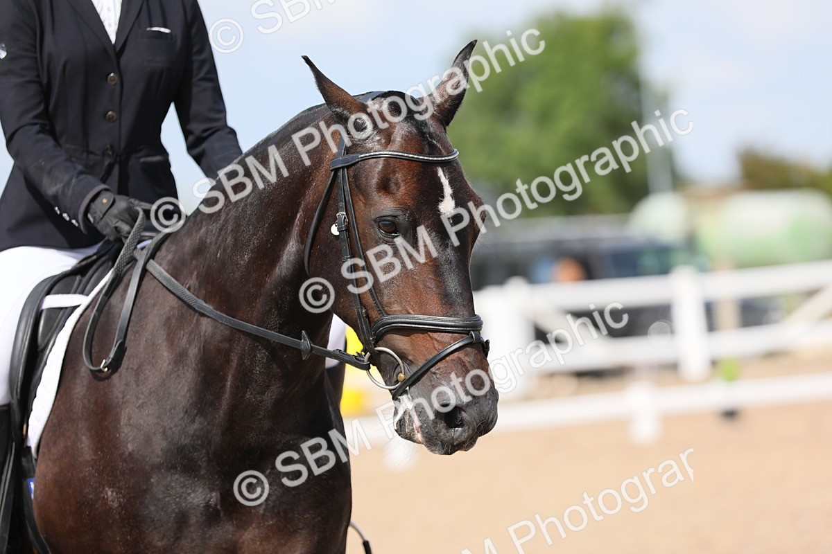 SBM_04057 - Class 31 Prelim 1