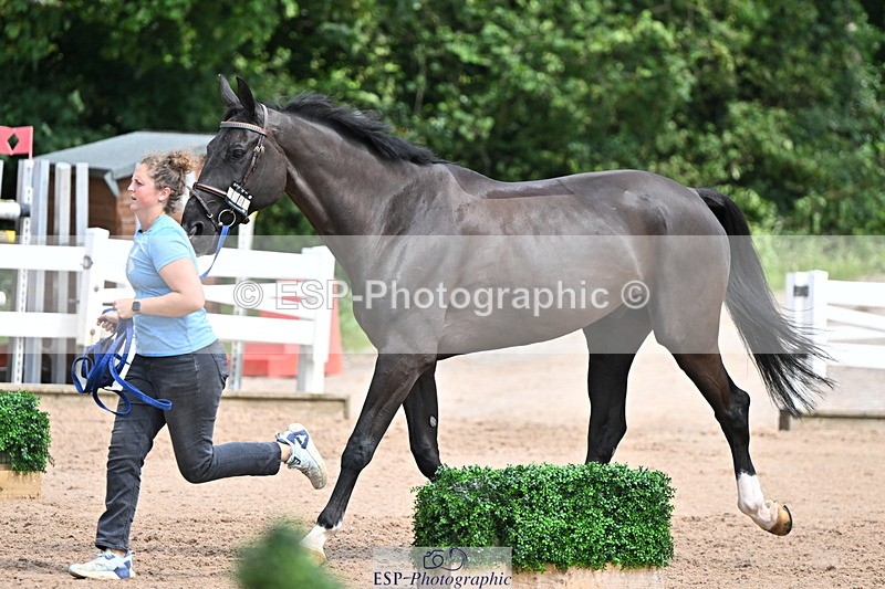 240718A-105304-01512 - Trot Up 12pm to 1pm