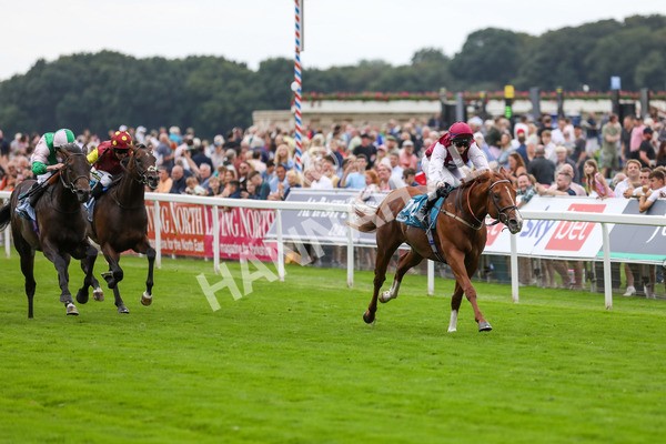 230823-Race 7-Zoulu Chief-4608 - Race 7 5.20pm Sky Bet Nursery Handicap