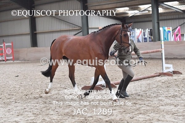 JAC_1289 - CLASS 8 BHS Scotland Riding Club Working Hunter Qualifier (1.00m)