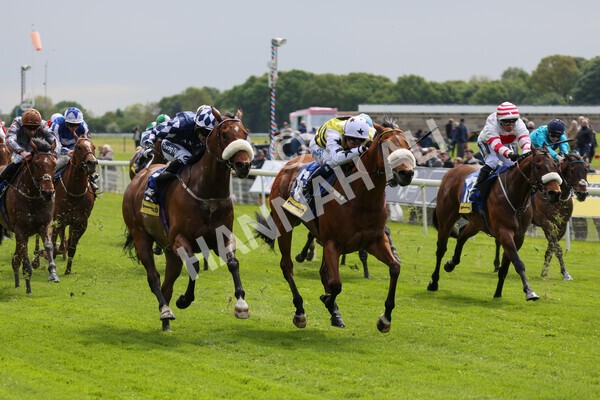 yr11052022r2-29 - Race 2 2.25pm Churchill Tyres Stakes