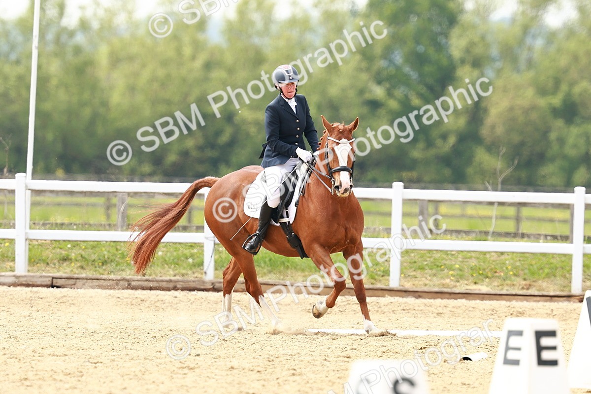 SBM_002891 - Class 12 - Medium 4