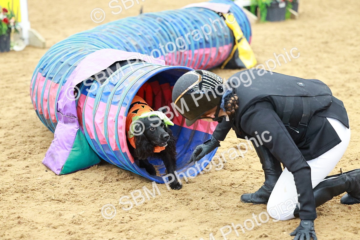 SBM_001693 - Class 3 - Horse & Hound (60cm)