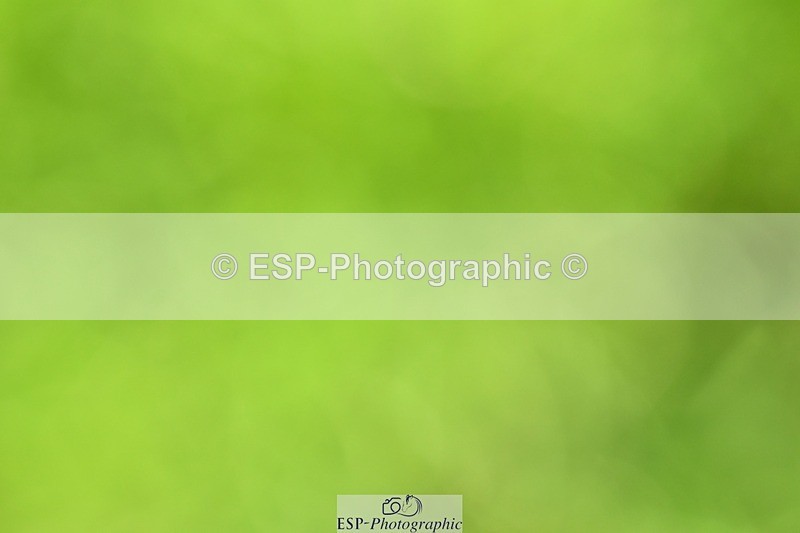 231110-120516-01351 - Cls 5 Elementary 43