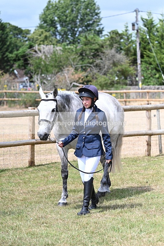 WJ7_1766 - Class 4a Prettiest Mare 14.2hh and over hand