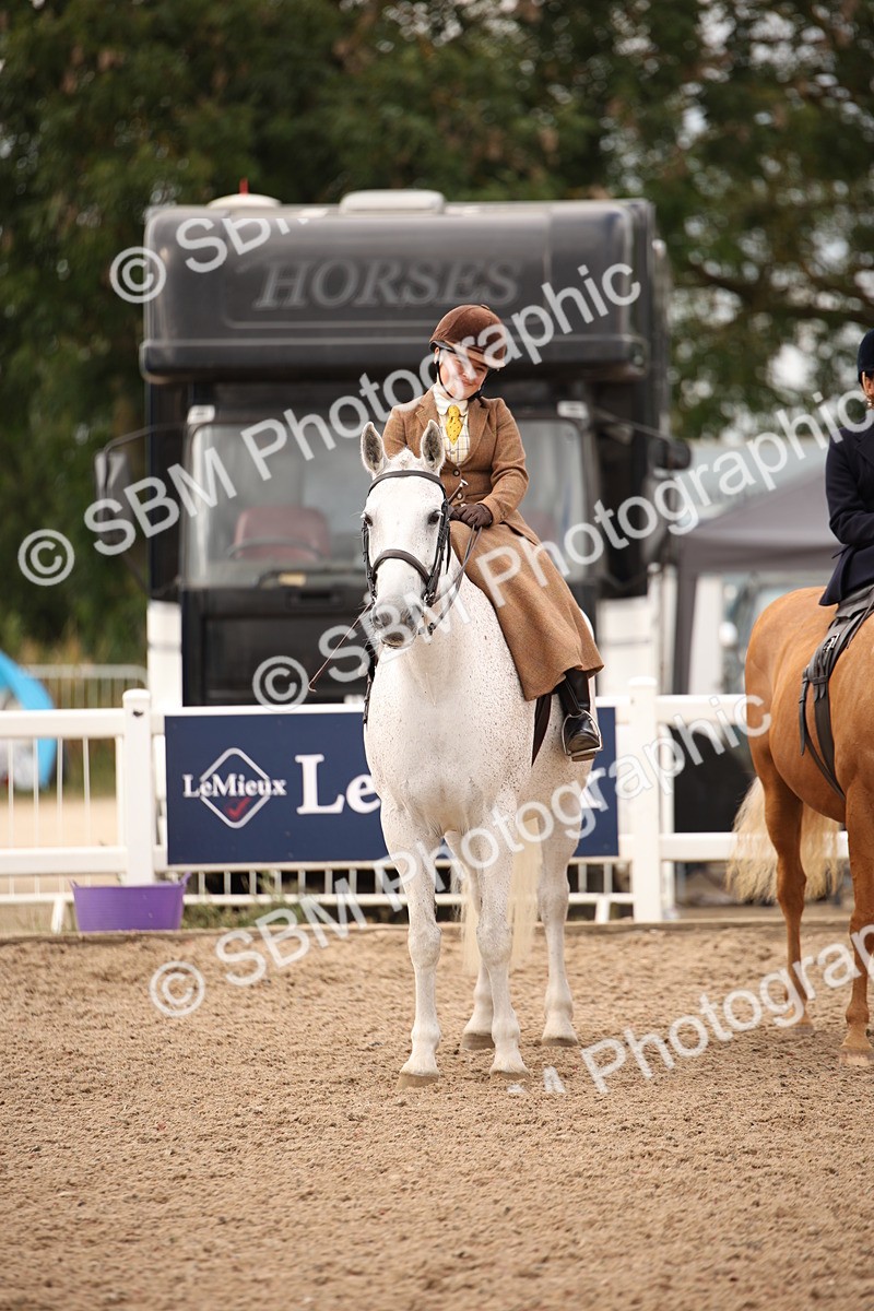 SBM_05402 - Class 22 SSA Equitation