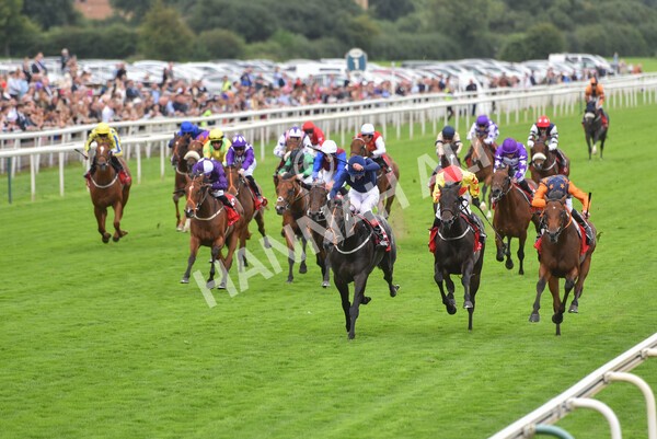 yr19082021r2-29 - Race 2 2.25pm Goffs UK Premier Yearling Stakes