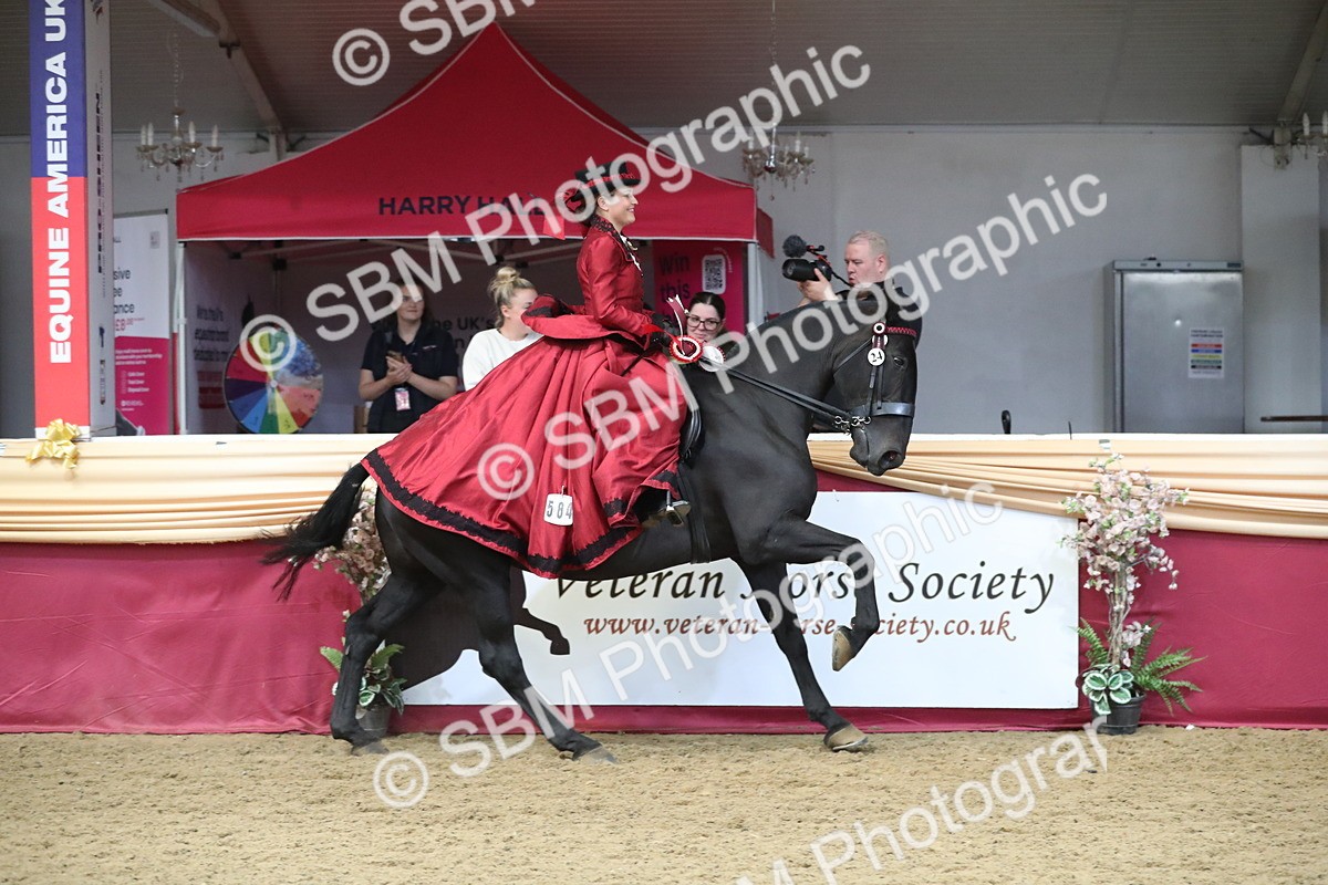 SBM_12219 - Class 107 Ridden Costume- Astride Adult (20+)