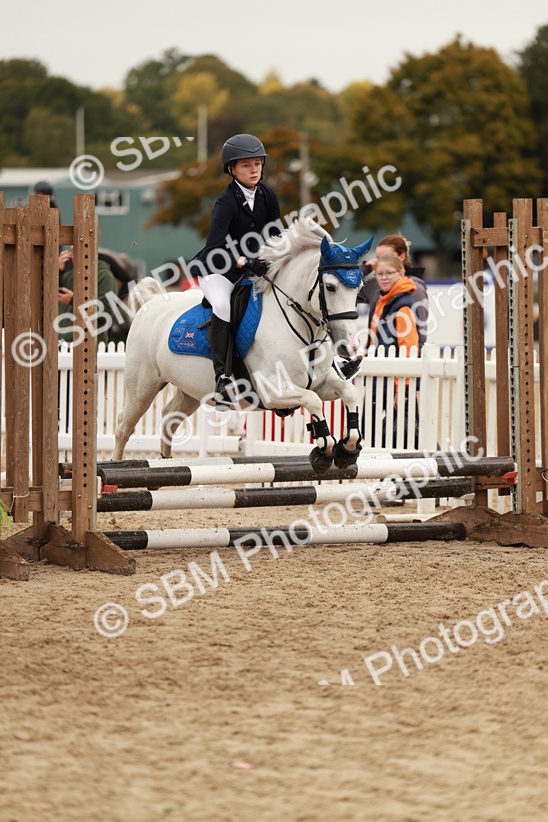 SBM_57950 - J11 - Junior Pony 50cm Championship